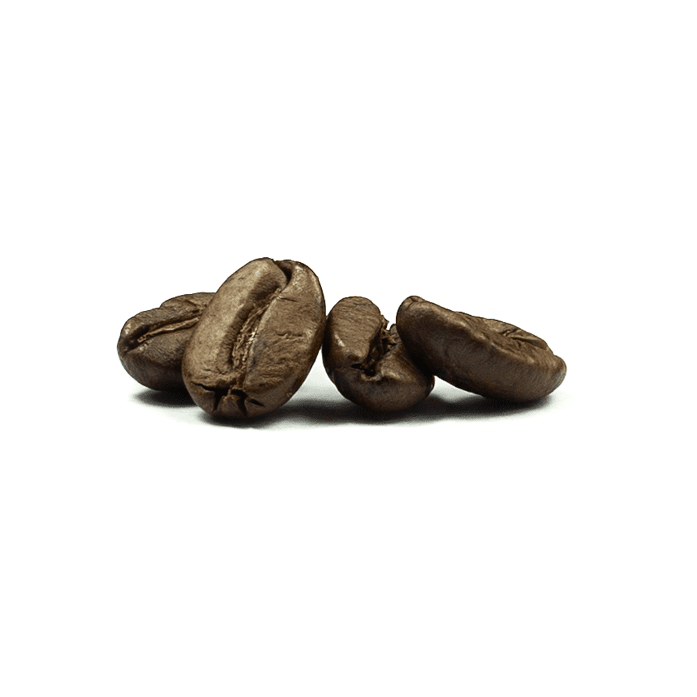 El Salvador Rain Forest Alliance Coffee Beans