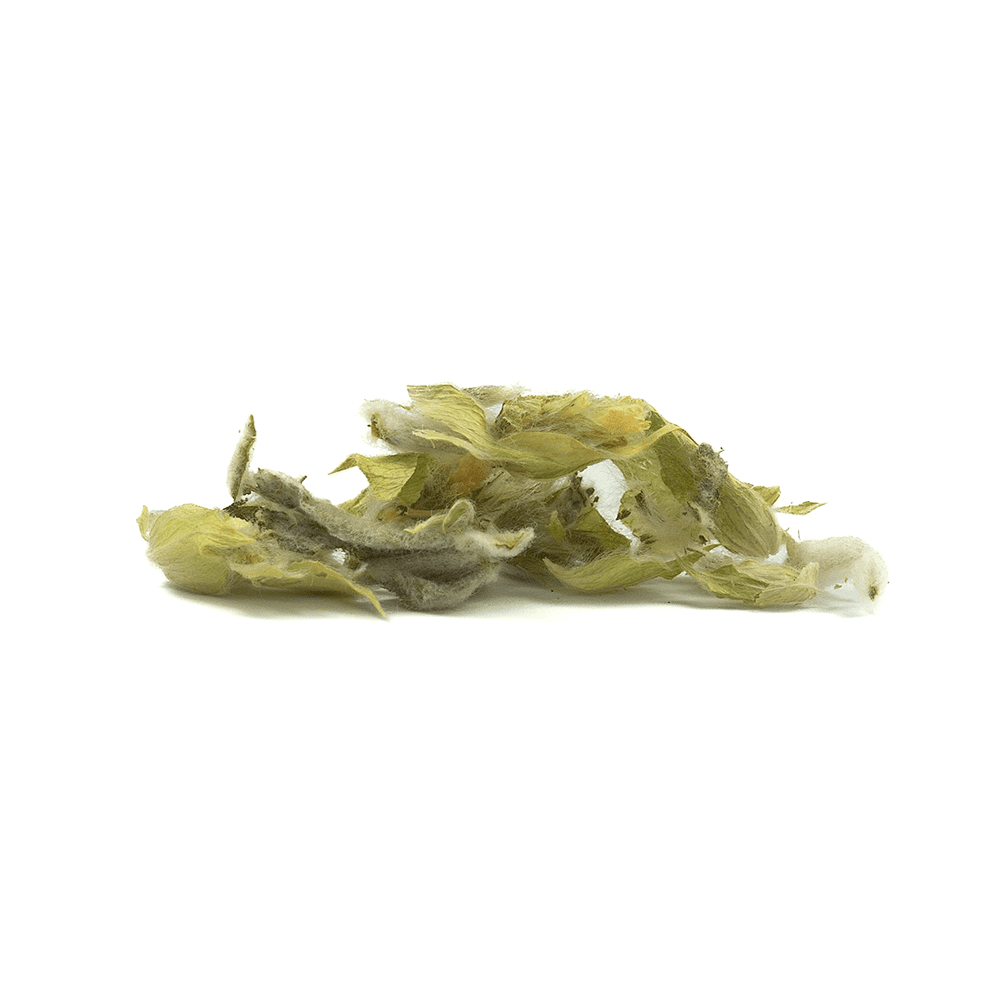 Mountain Sideritis Scardica Olympus Herbal Tea