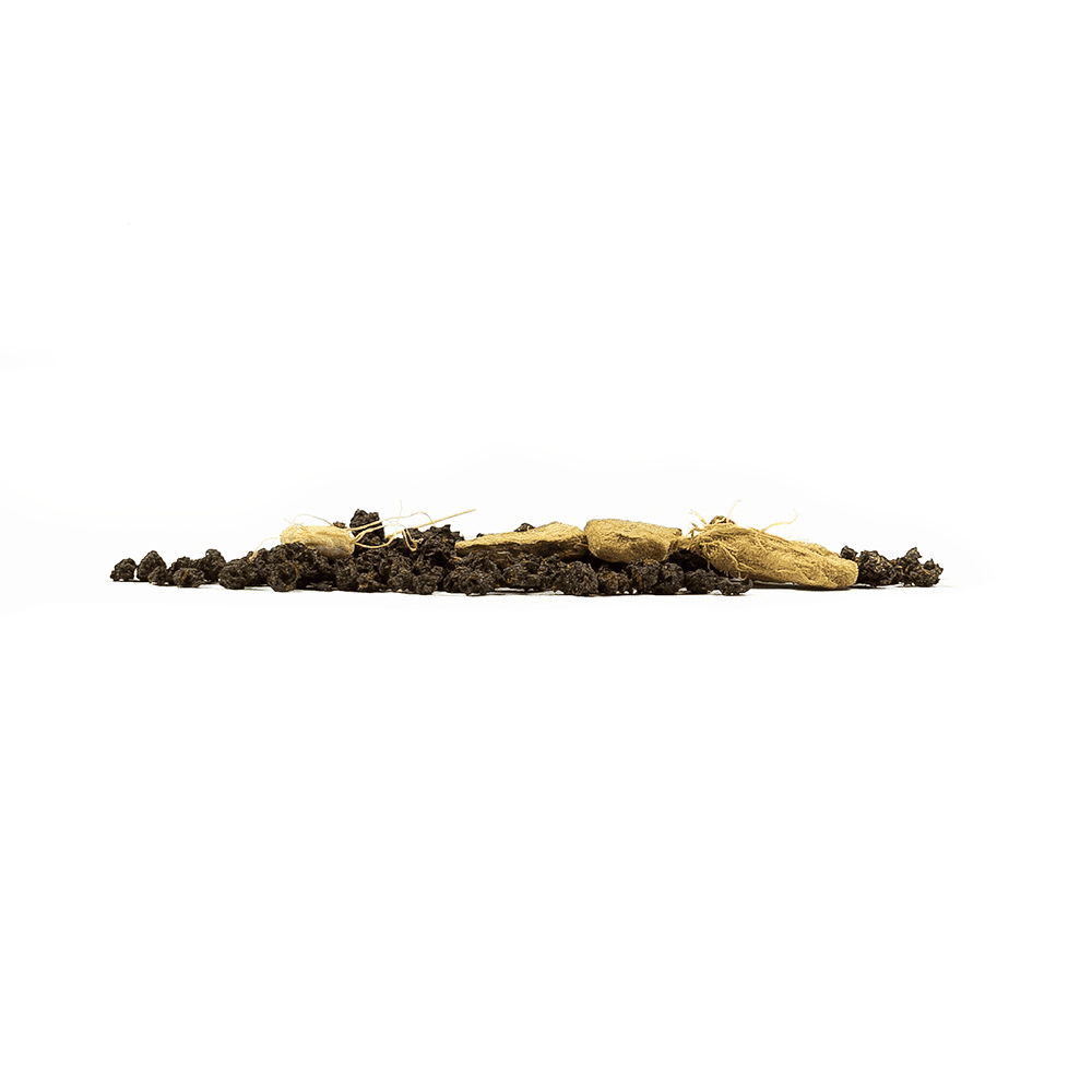 Cochin Masala Chai Loose Tea