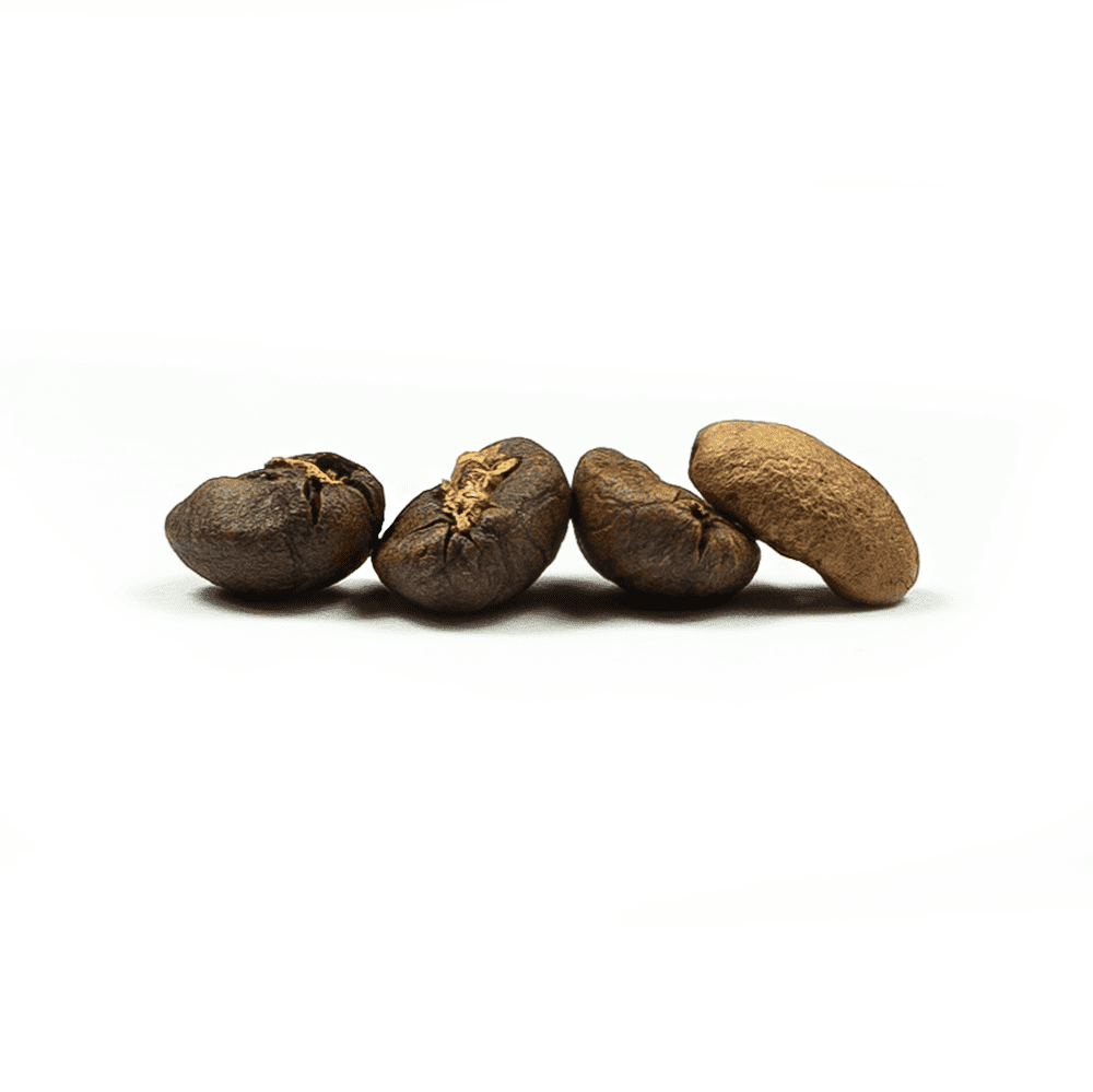 Kenya AA Coffee Beans