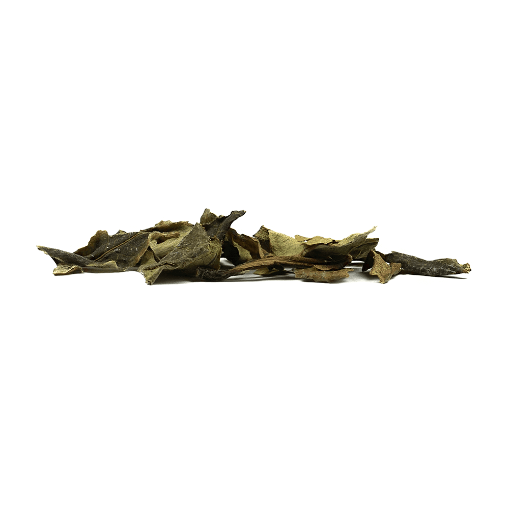 Bai Mu Dan White Tea