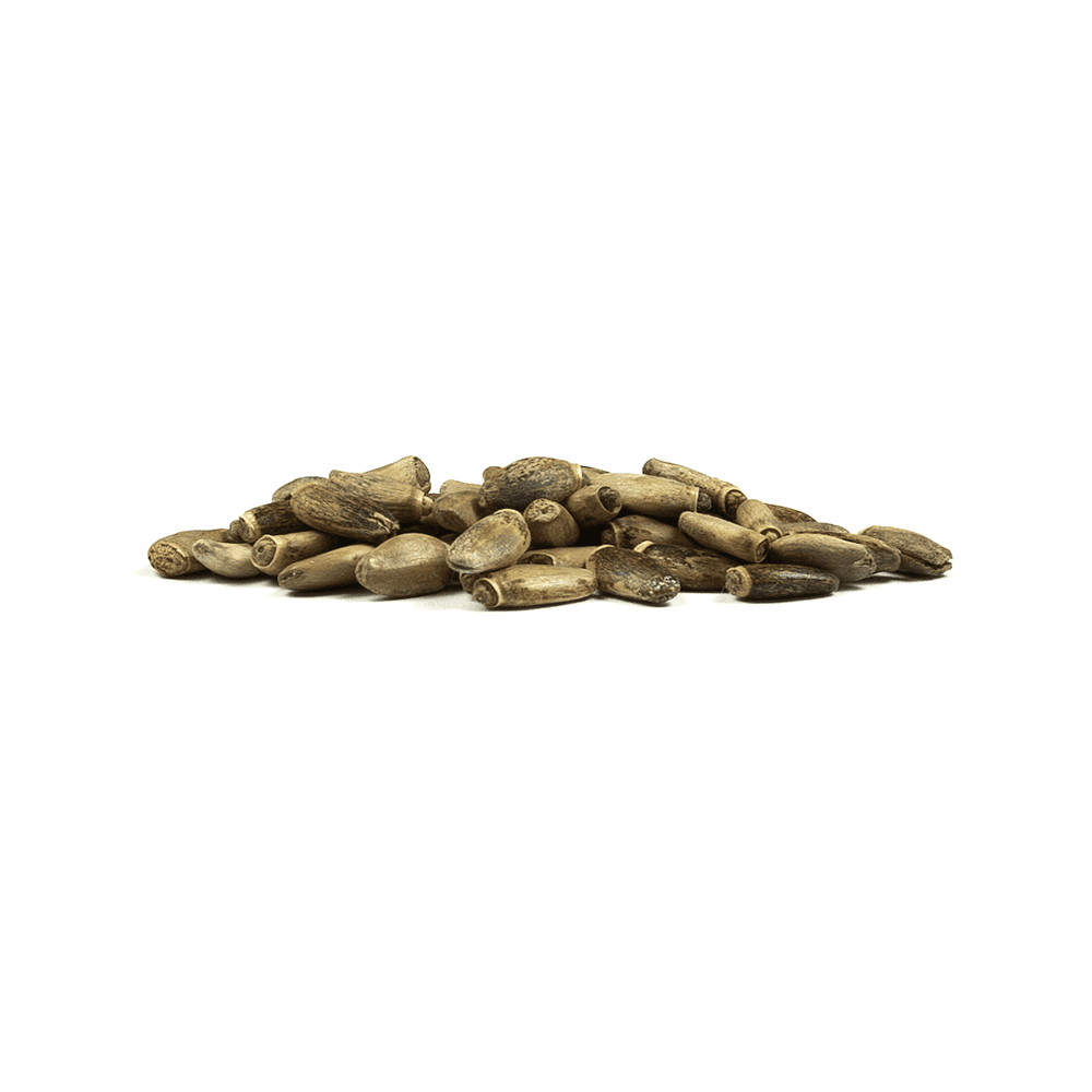 milk thistle seed tea