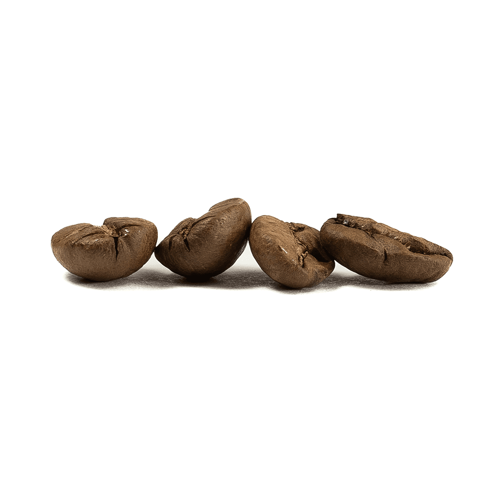 Java Santos Coffee Beans