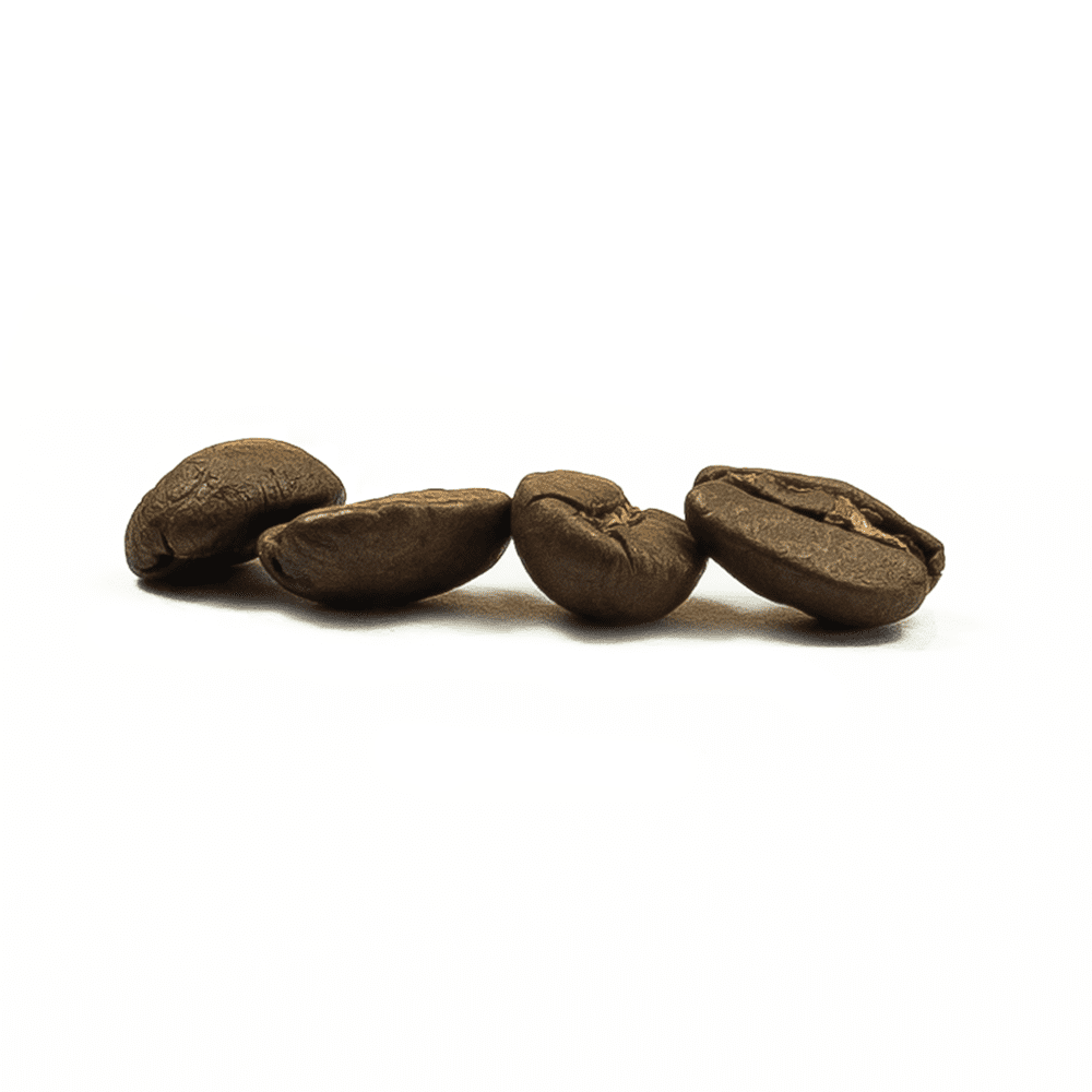 Jamaican Blue Mountain Dark Beans