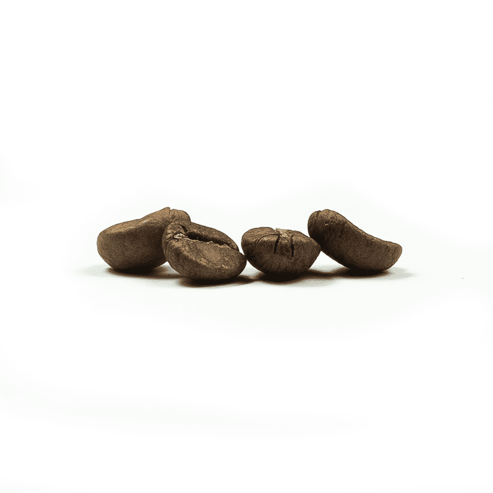 Kenya Blend Coffee Beans