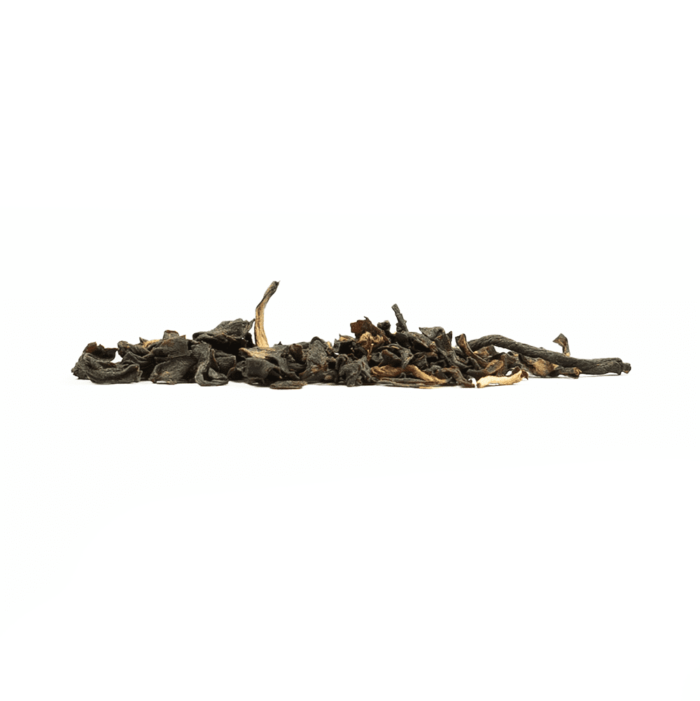 Margherita Tea Estate