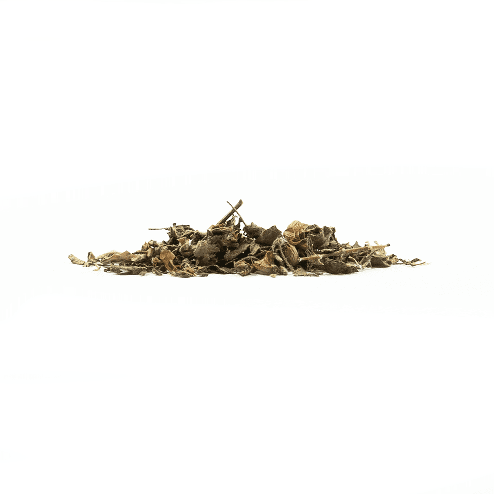 Tulsi Holy Tea
