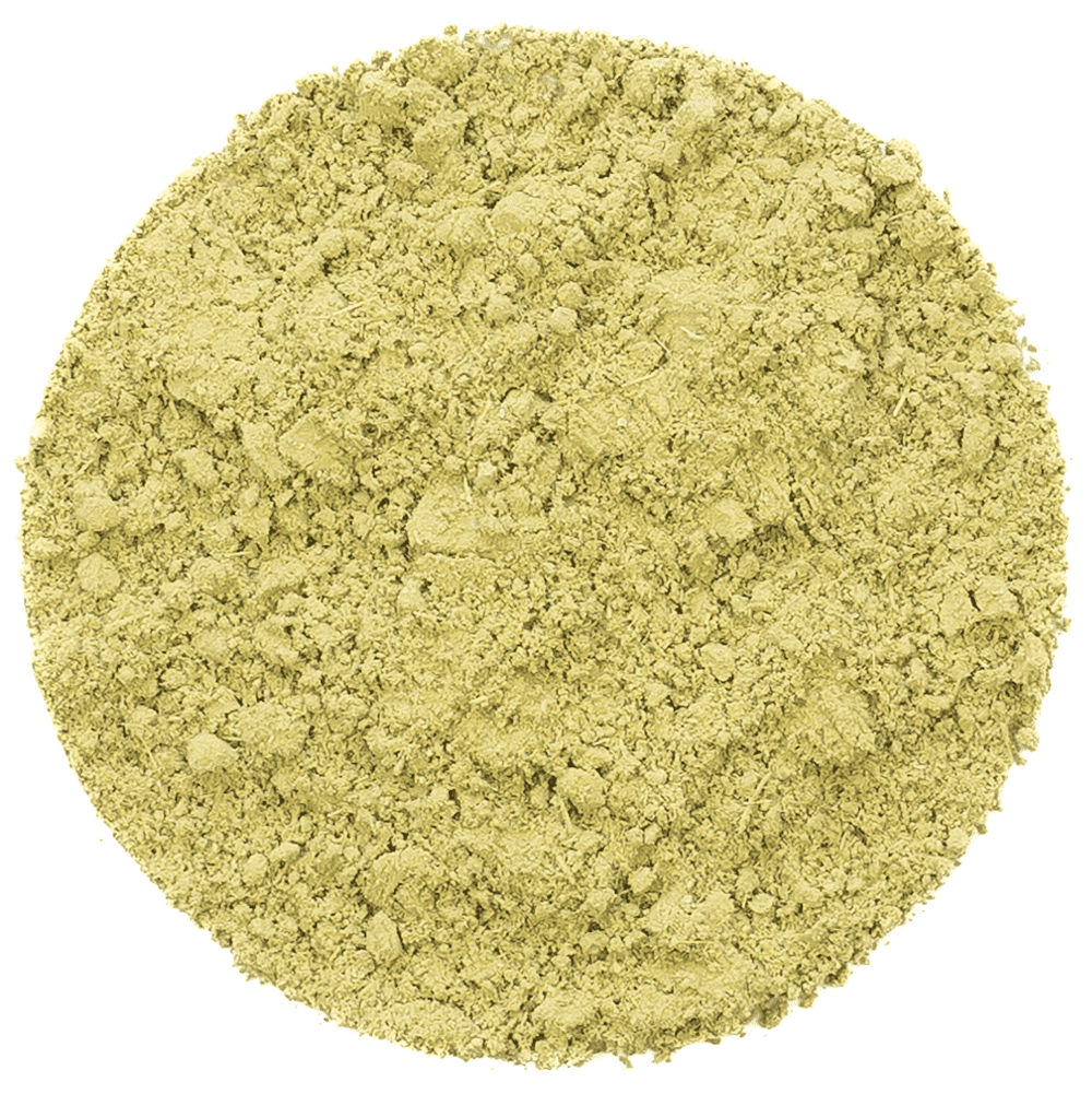 Yerba Mate Matcha Tea